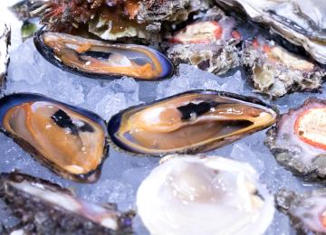 Cruditè di mare